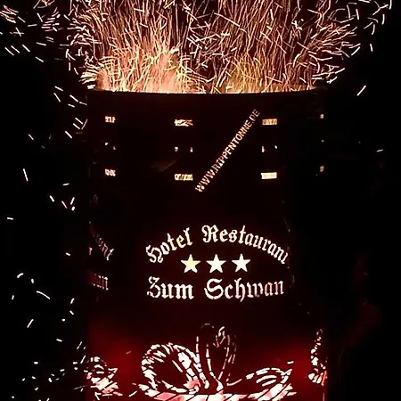 Zum Schwan Hotel 3*